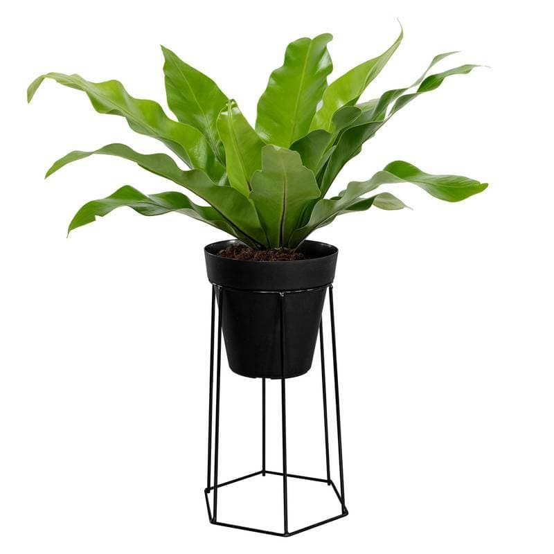 SUPORTE VASO SEXTAVADO PEQUENO CHÃO PRETO