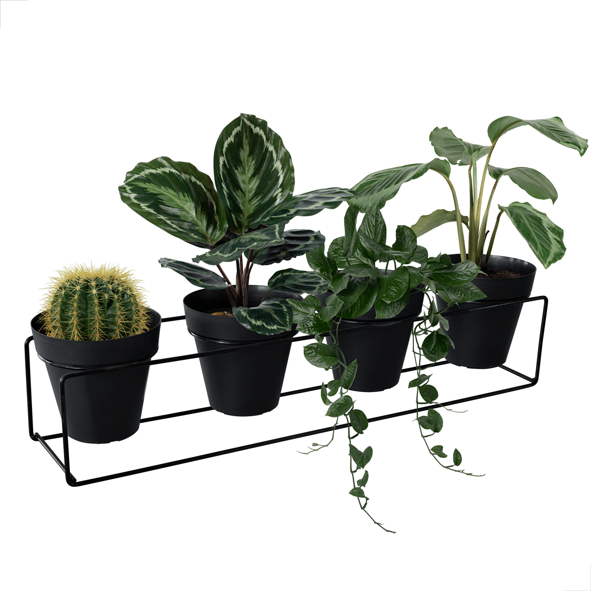 SUPORTE PARA VASO ARAMADO RETANGULO QUADRUPLO