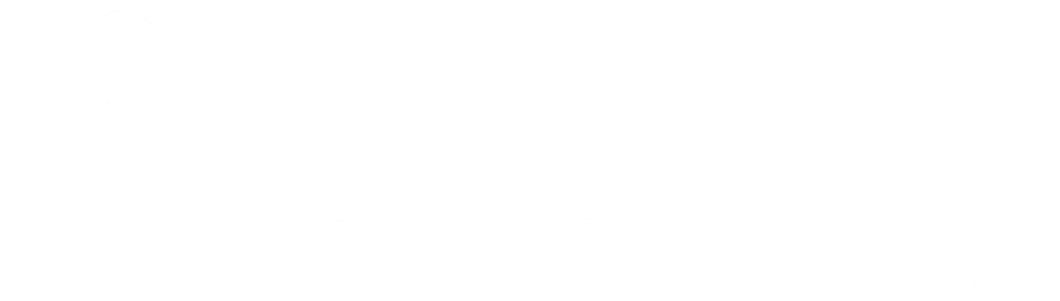 cópia de 1655873659shopify-black-logo